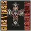 Appetite for Destruction
