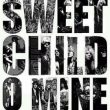 Appetite for Destruction