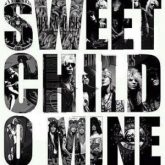 Appetite for Destruction